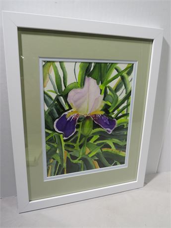 BARBARA HUBERT Purple & White Iris Watercolor Painting
