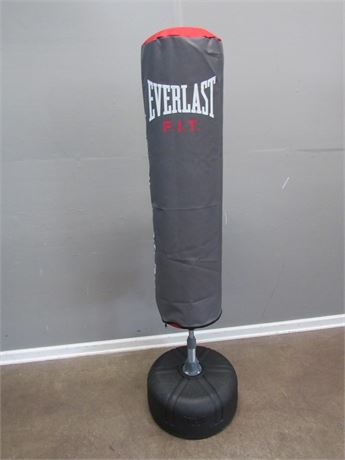 Everlast Nevatear 70 lb. Platinum Heavy Bag | Free Curbside Pick Up at  DICK'S