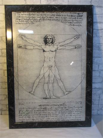 Leonardo Da Vinci Anatomy Nproportions Of The Human Figure Art
