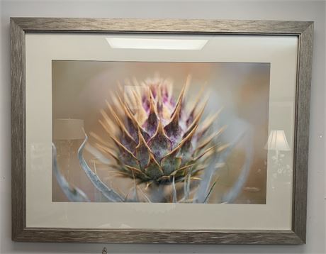 Framed and Matted Thistle Flower Head Wall Art