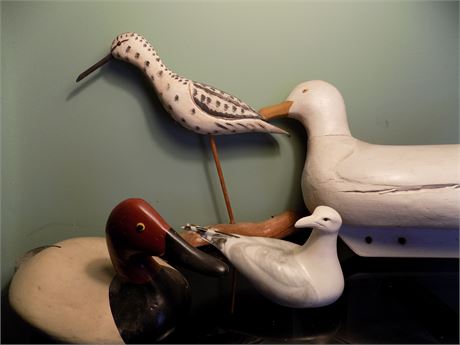 Wooden Ducks & Bird Collection