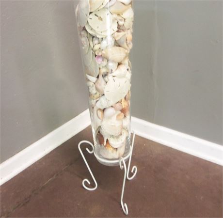 Glass Vase filled with Sea Shells