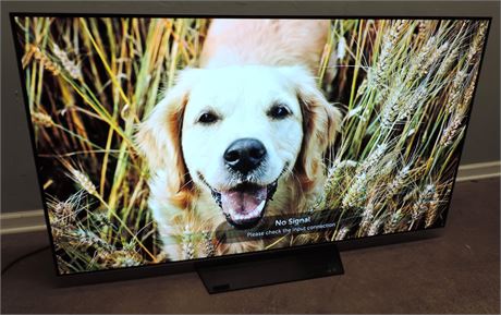 OLED LG 65" 4K HDR SMART TV
