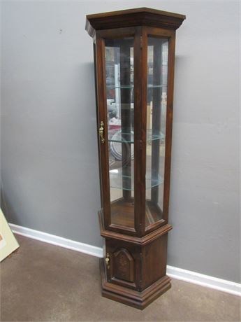 Lit Curio Cabinet with Mirrored Back
