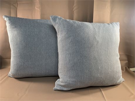 Pair of Down Filled Zippered Pillows