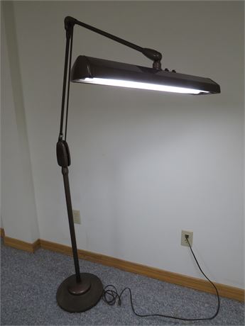 Extending Arm Floor Lamp/Task Light