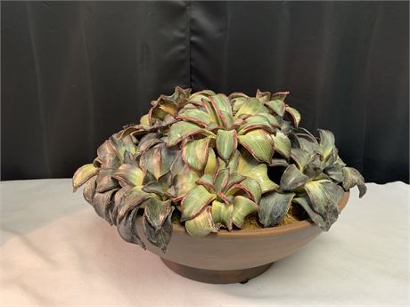 New Artificial Star Succulents