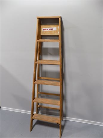 Werner Wooden Ladder
