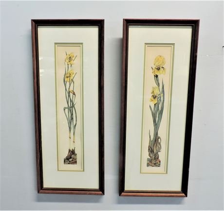 Signed HEMBLING Floral Prints 'Yellow Iris' (33/250) 'Narcissus' (33/250)