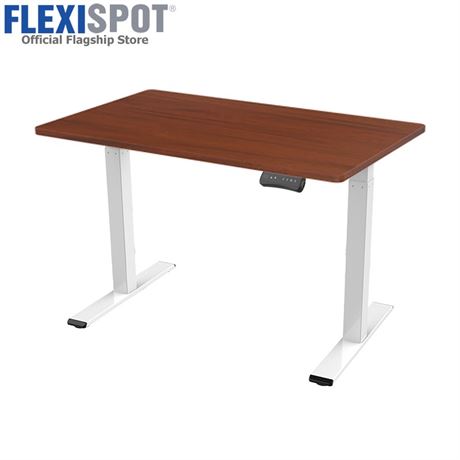 FLEXISPOT Standing Desk Electric Height Adjustable