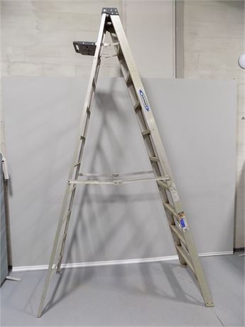 Werner 10' Ladder