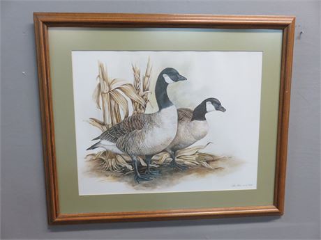 PAT FORD Limited Edition Wildlife Art Print