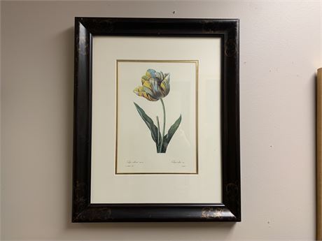 CULTIVATED TULIP Wall Art