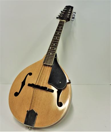 Mandolin and Carrying Case