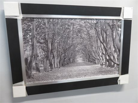 Black & White Framed Print