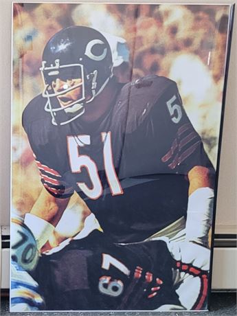 Dick Butkus Chicago Bears HUGE POSTER 24inches x 35.5inches