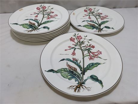 VILLEROY & BOCH Botanica Dinner Plate Set