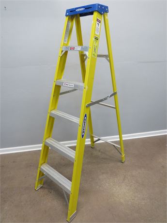 WERNER 6 ft. Fiberglass Ladder