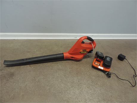 Black & Decker 34" Cordless Broom with Charger
