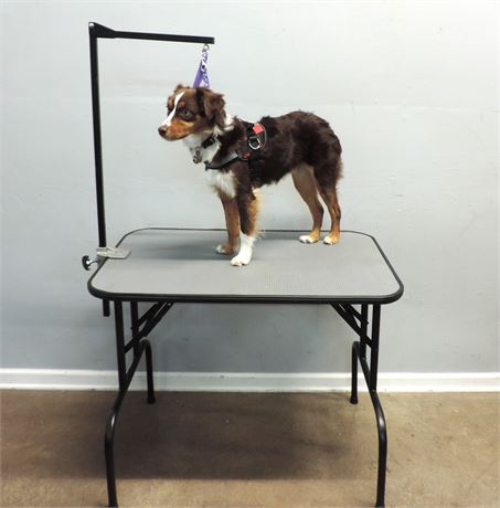 Portable Grooming Table