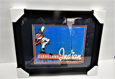 Cleveland Indians Chief Wahoo At Bat Print Framed