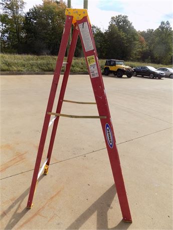 Werner #FS206 6 Ft. Ladder