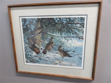 PERSIS WEIRS Limited Edition "Sheltering Pine Ruffled Grouse" Lithograph Print