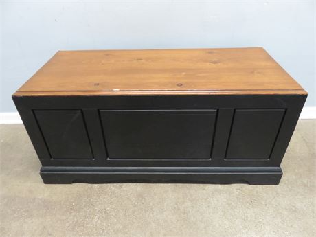 Hand Painted Trunk/Coffee Table