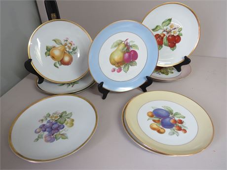 HUTSCHENREUTHER Bavarian Porcelain Luncheon Plate Set