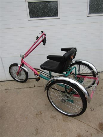 Worksman Trike, Personal Activity Vehicle