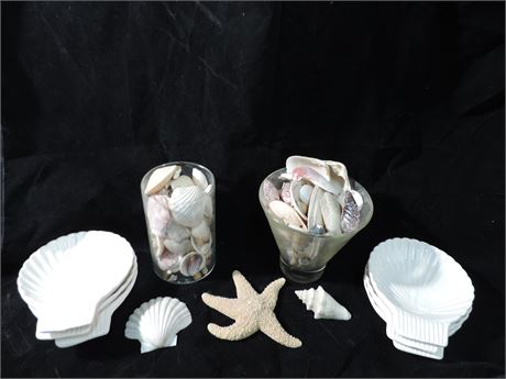 Seashells / Clam Shell Plates