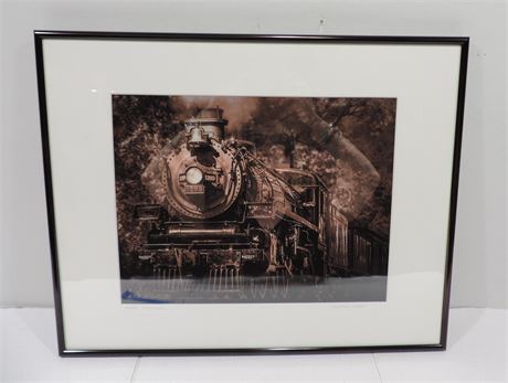 'Park Steamer' Train Print / DENNIS WERT