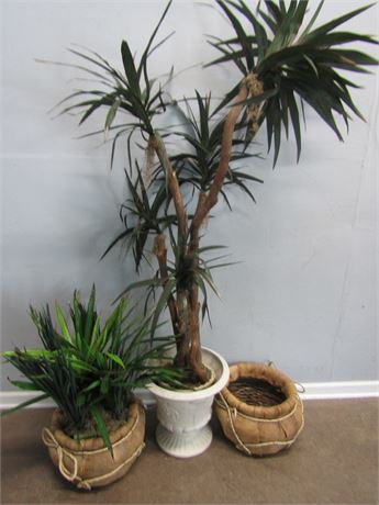 Plastic Tree and Burlap Wrapped Base Pots