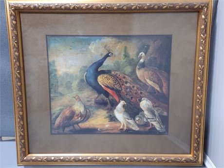 Peacock & Partrige Artwork