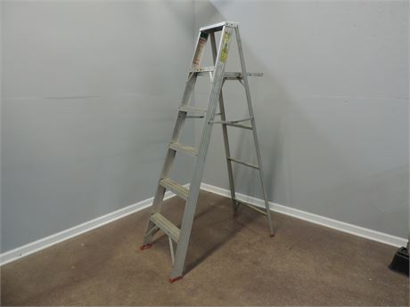 Werner Six Foot Aluminum Ladder