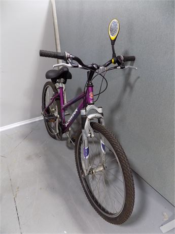 Schwinn traverse 24 online inch girls mountain bike