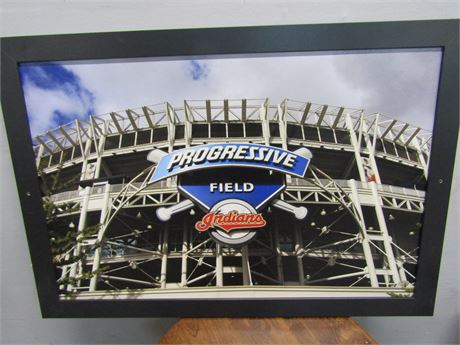 Progressive Field "Indians" Wall Art, with Black Frame