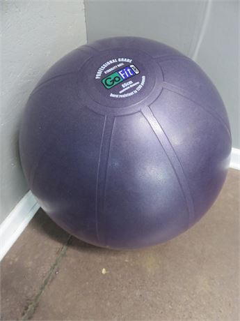 GoFit Professional Grade Stability Ball