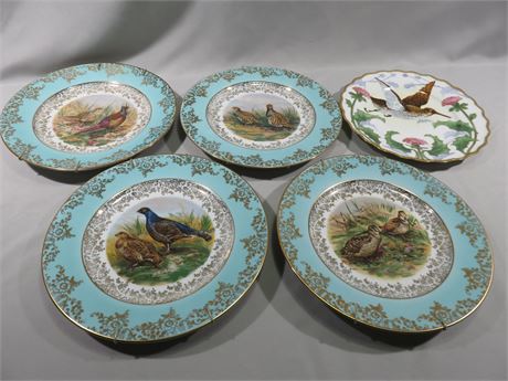 European Porcelain Plates