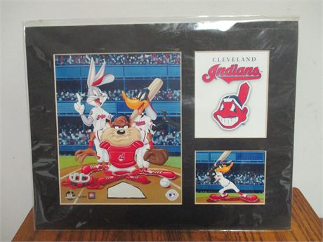 Looney Tunes "Cleveland Indians" Limited Edition 212/5000 Bugs Bunny Collectible