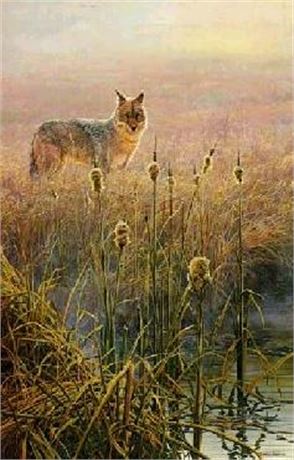 John Seerey-Lester Limited Edition Print: "Dawn on the Marsh - Coyote"