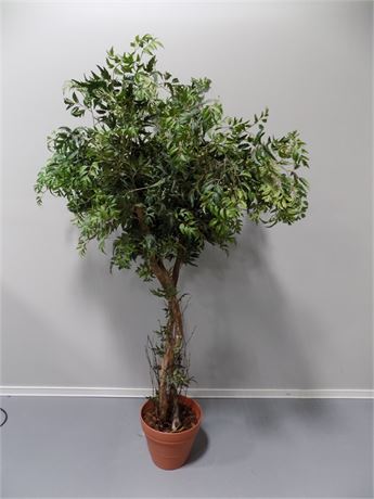 Artificial Ruscus Style Tree