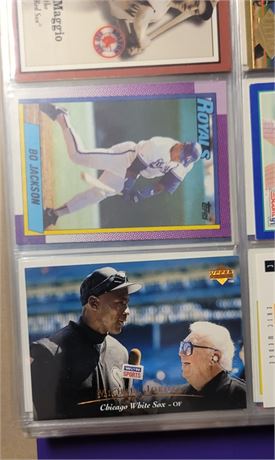 Nice Sports Card Collection in Binders