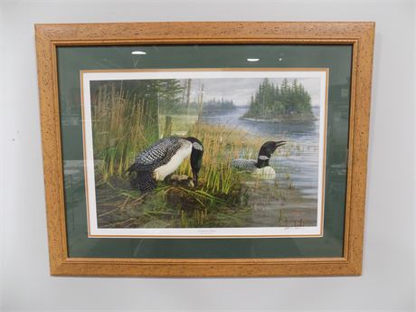 Michael Sieve Signed "Common Loons" Print
