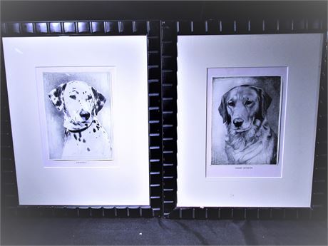 Portrait Drawings Prints of Dogs in Ink