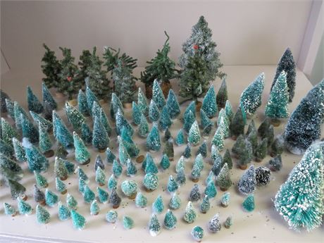 Miniature Bottle Brush Pine Tree Lot