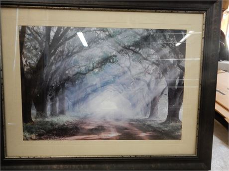 Osage Trees Print Framed