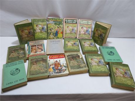 18 Vintage BOBBSEY TWINS Children's Books