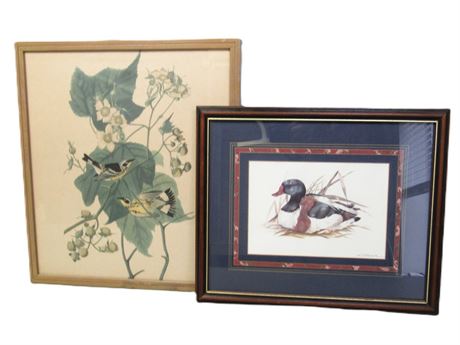 Vintage Bird Prints - Joel Kirk Duck and Black and Yellow Warblers
