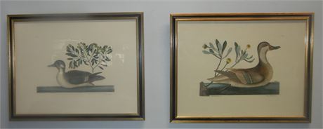 Set of Framed Duck Prints,